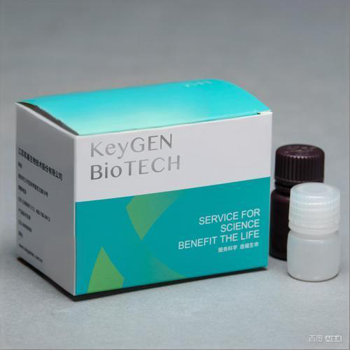 细胞检测试剂盒