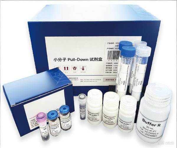 分子检测试剂盒
