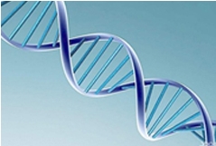 通用设备、试剂、耗材及安防用品整体集成