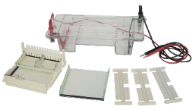 水平琼脂糖电泳槽 SH-SP10H 